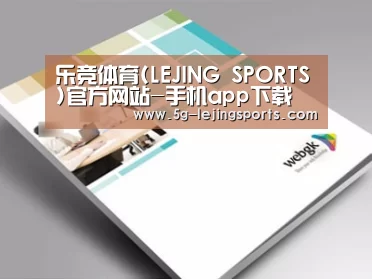 项目名称九